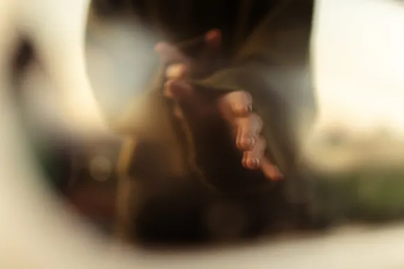 Казино Роял Слотс Поддръжка